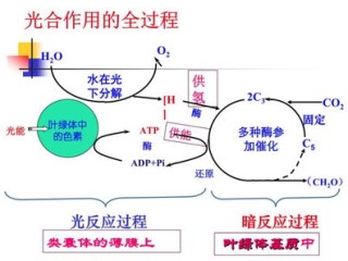 义乌24小时实时天气，一座小城的呼吸与脉搏