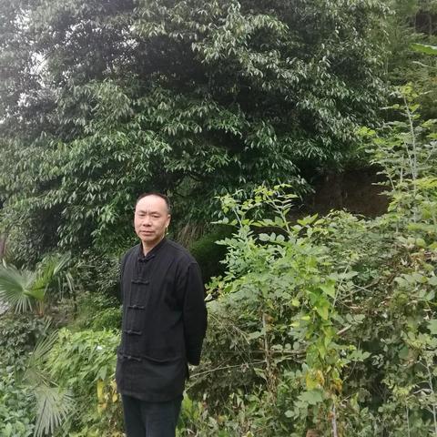 天气在手，风雨不愁，免费天气预报手机版，让你的生活更从容