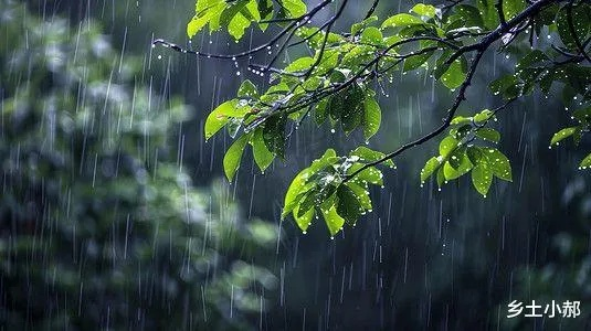 雨何时来,何时去 雨何时来,何时去