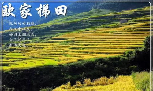 金多宝833933cm金多宝-桂林一月份气温多少度?冬日里的山水暖意 金多宝833933cm金多宝-桂林一月份气温多少度?冬日里的山水暖意