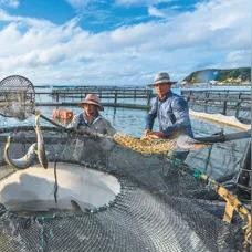 捕鱼大咖官方版本-孝感天气，四季流转中的温润诗篇