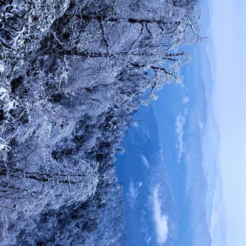 乐山天气预报15天，从容规划每一天的山水之旅