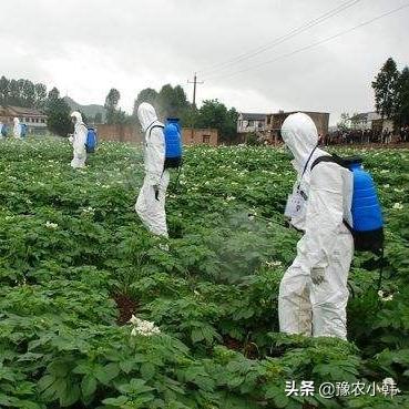 今日24小时天气预报,晴雨交替,出行需留意 今日24小时天气预报,晴雨交替,出行需留意