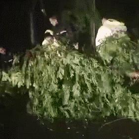 山东大暴雨最新消息，多地发布红色预警，防汛形势严峻