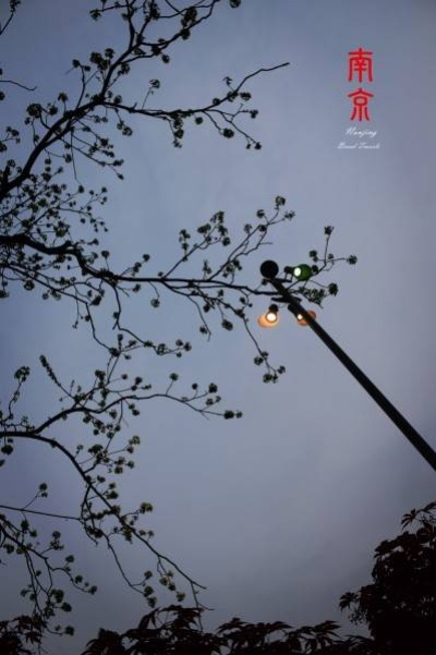 金陵烟雨录，南京天气里的风物与记忆
