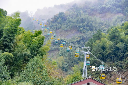 赤水天气预报，丹霞翠竹间的天气密码，你的出行指南