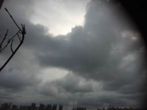 关上窗,屋里空调嗡嗡地响着。外面的天又变了,云层厚了起来,大概又要下雨了。我坐在桌前,听着风声,心里却觉得踏实。这深圳的天气啊,就像这城市一样,永远在变,永远让你猜不透。可正是这样,才让人舍不得离开 关上窗,屋里空调嗡嗡地响着。外面的天又变了,云层厚了起来,大概又要下雨了。我坐在桌前,听着风声,心里却觉得踏实。这深圳的天气啊,就像这城市一样,永远在变,永远让你猜不透。可正是这样,才让人舍不得离开