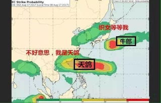 风雨中的导航，台风路径实时图如何守护万家灯火