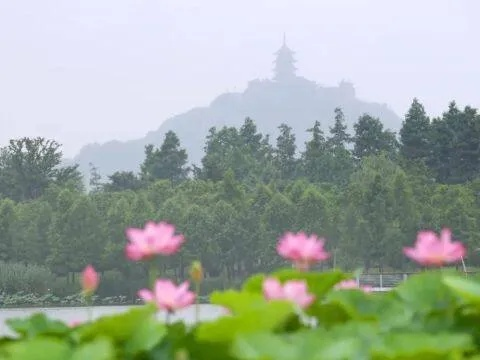 其实,南通的天气是四季分明的,只是这分明里,总带着些水汽氤氲的暧昧 其实,南通的天气是四季分明的,只是这分明里,总带着些水汽氤氲的暧昧